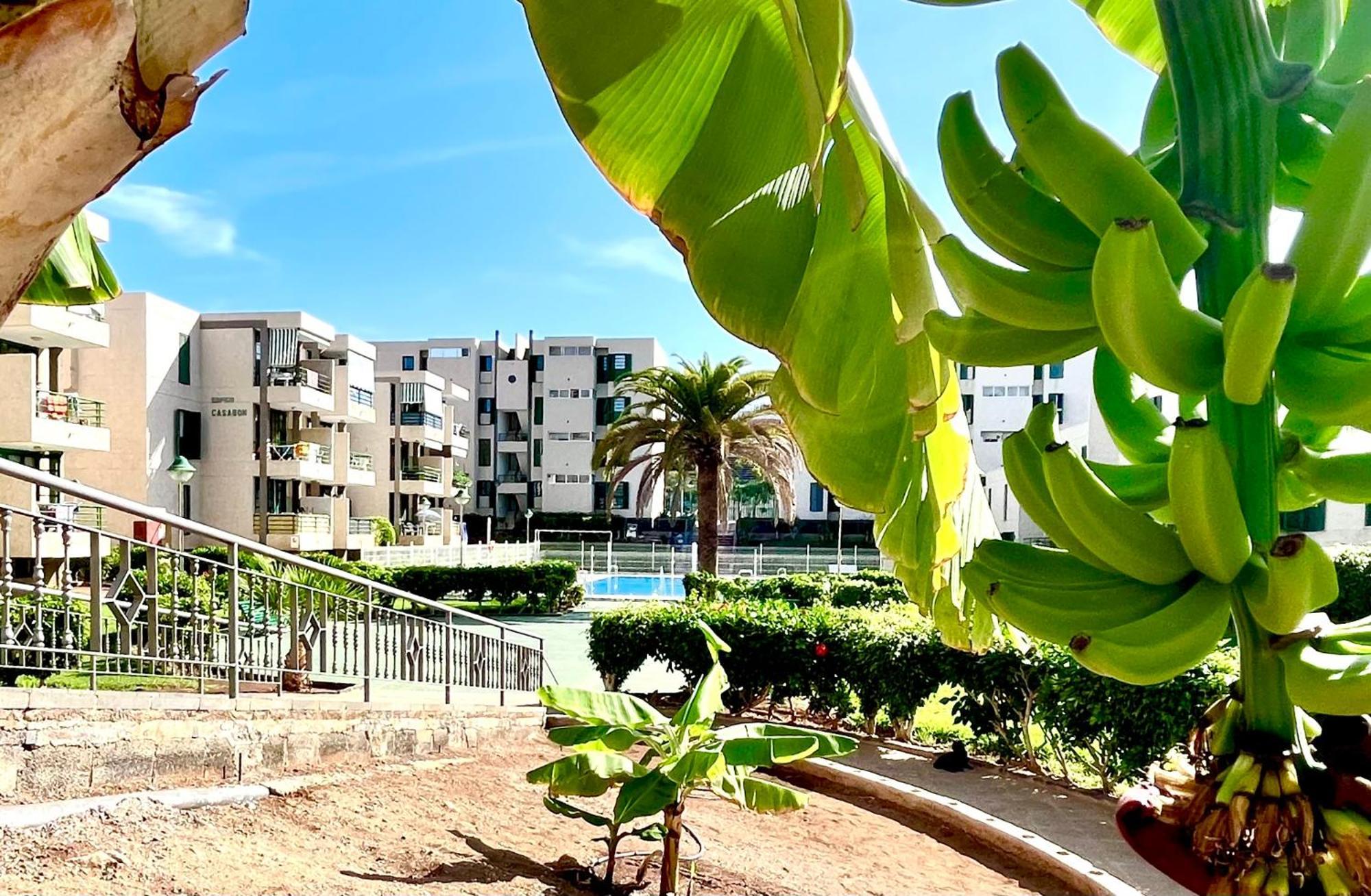 Las Vinas Apartment Playa de las Américas Dış mekan fotoğraf